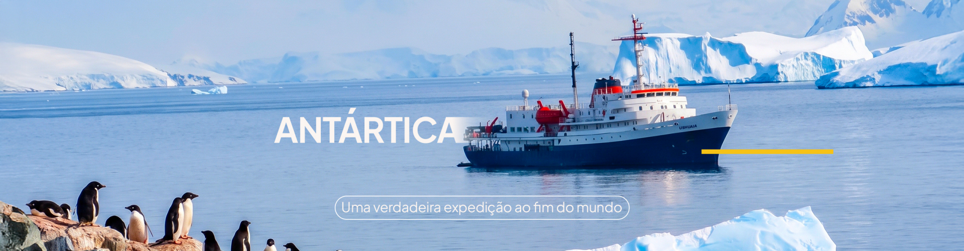 Cruzeiro para a AntÃ¡rtica