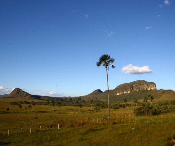 TIRADENTES - Chapada dos Veadeiros Completo