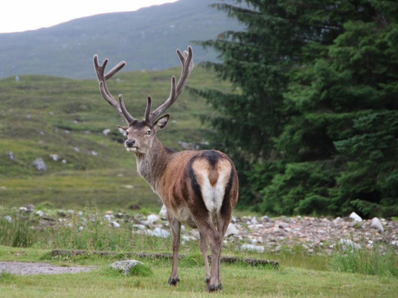 Highlands