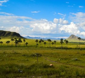 Paulo Hernandes de São Pedro