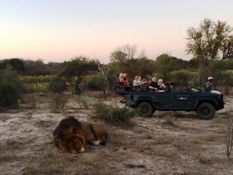 Dia de Safari
