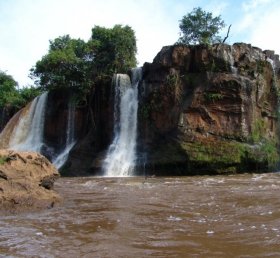 Maria Luiza M de Souza