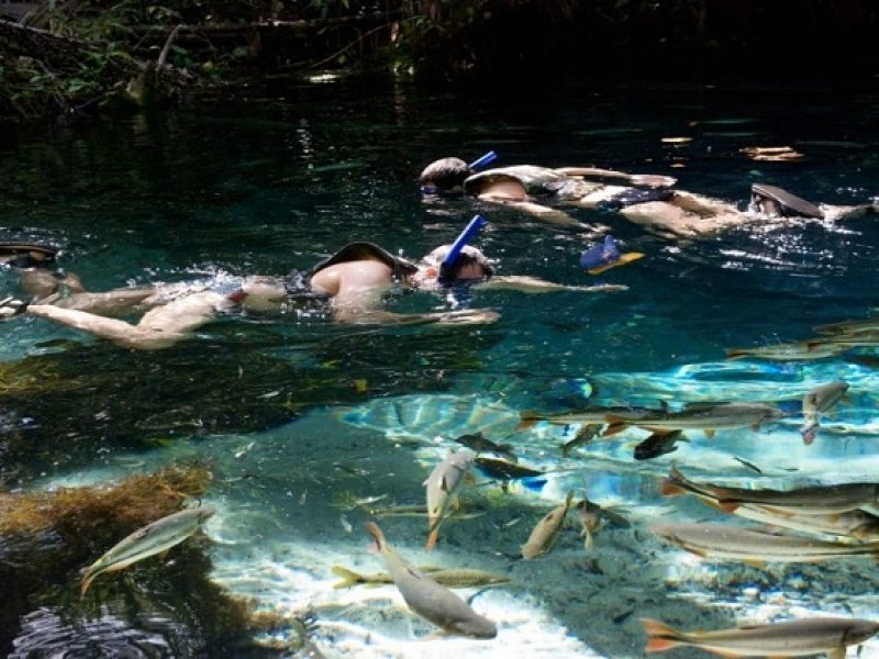 Os Encantos de Nobres