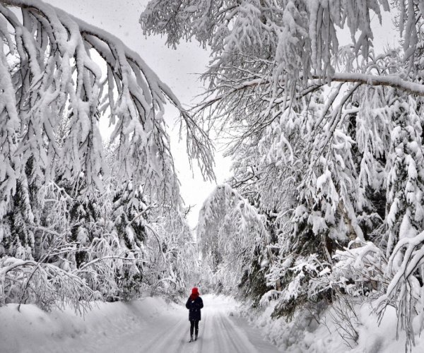 Bosque Nevado Ushuaia
