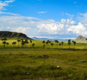 Ricardo Marin Bonadio