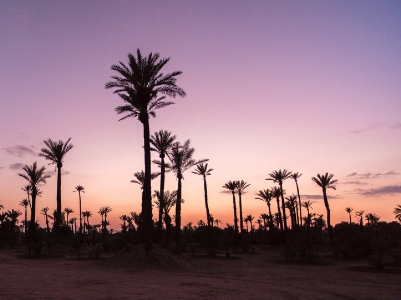 Marrocos - Cidades Imperiais e Deserto de Agafay