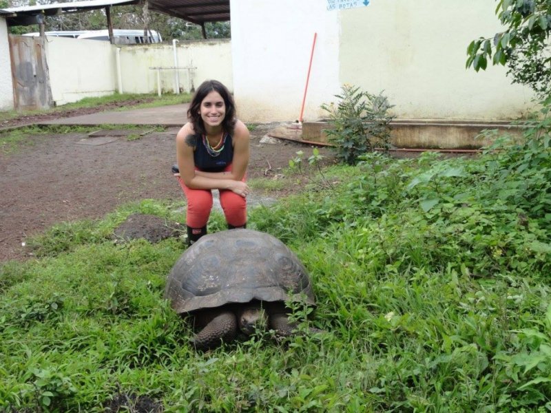 Fauna de Galápagos