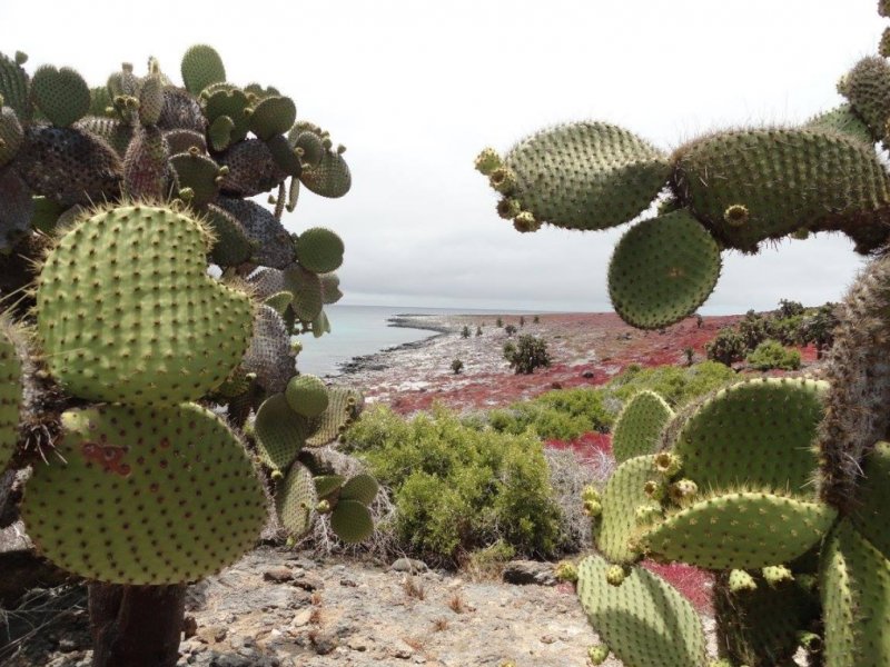 Ilhas Galápagos