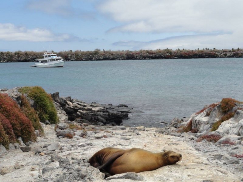 Equador - O Melhor de Galápagos