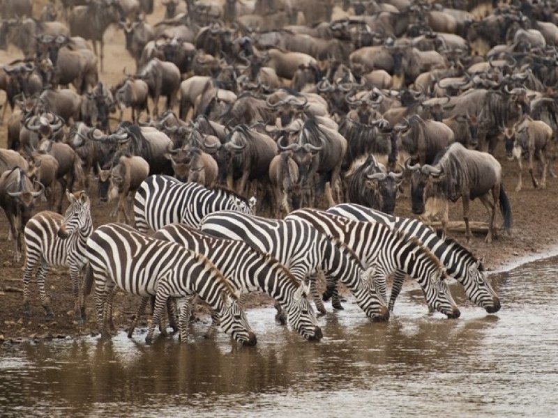 Kenya e Tanzania