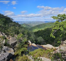  Alexandra Soares Rosa