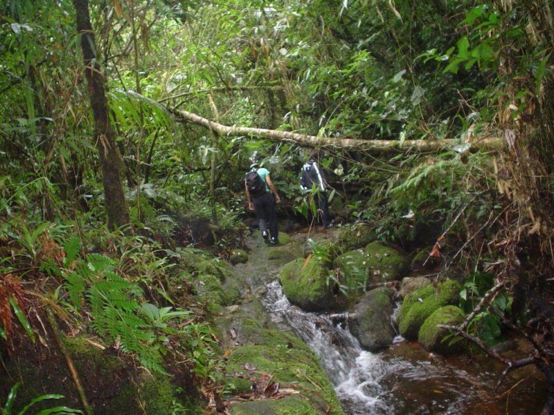  Trekking em São Luiz do Paraitinga com Pico do Corcovado
