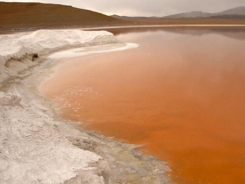 Laguna Colorada - Uyuni