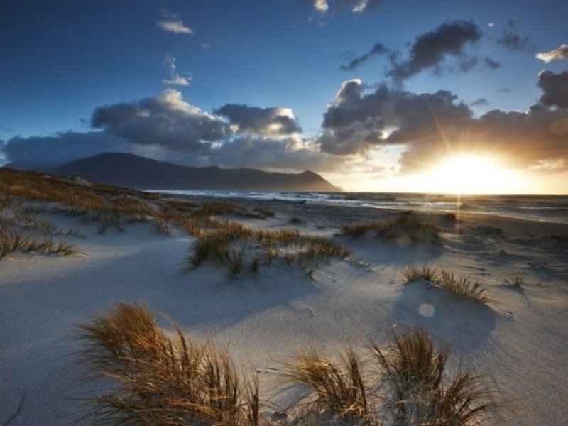 Martin Bay Beach - Trekking Valle Hollyford