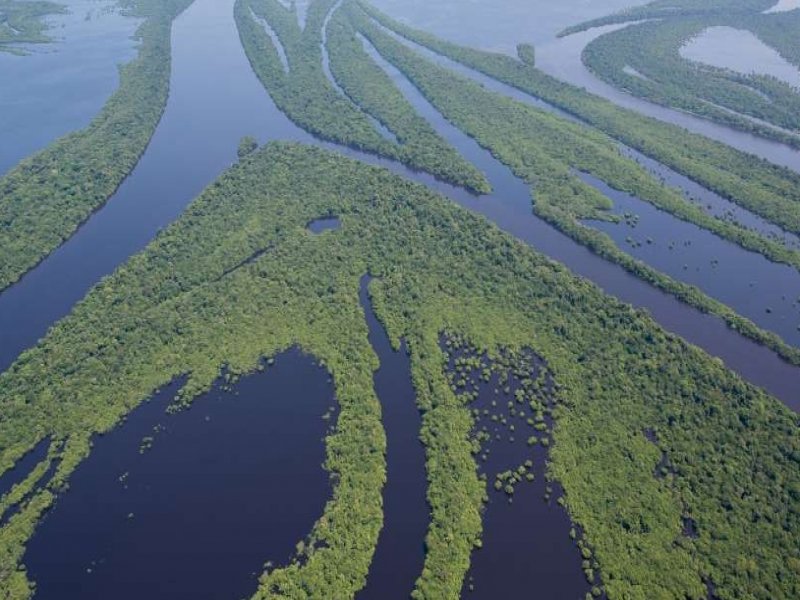 Amazônia - Anavilhanas Jungle Lodge c/ Grutas do Madadá