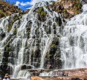 Cláudia Rodopiano Montenegro Madeira