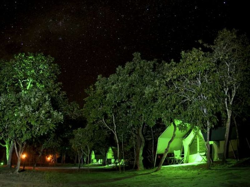 Safári Camp a noite