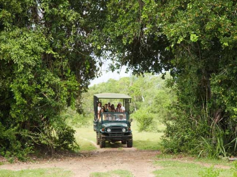 Pantanal Sul - Pousada Pequi