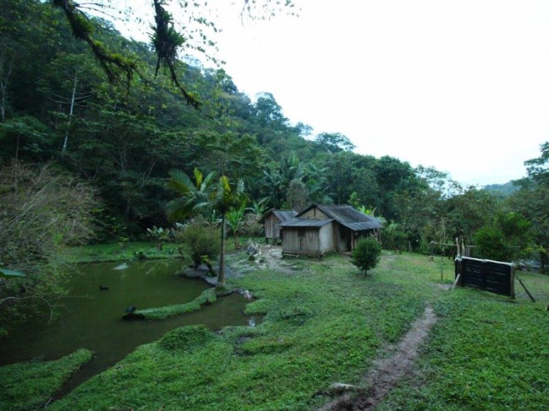 Expedição Quilombola - Trekking e Comunidades Tradicionais
