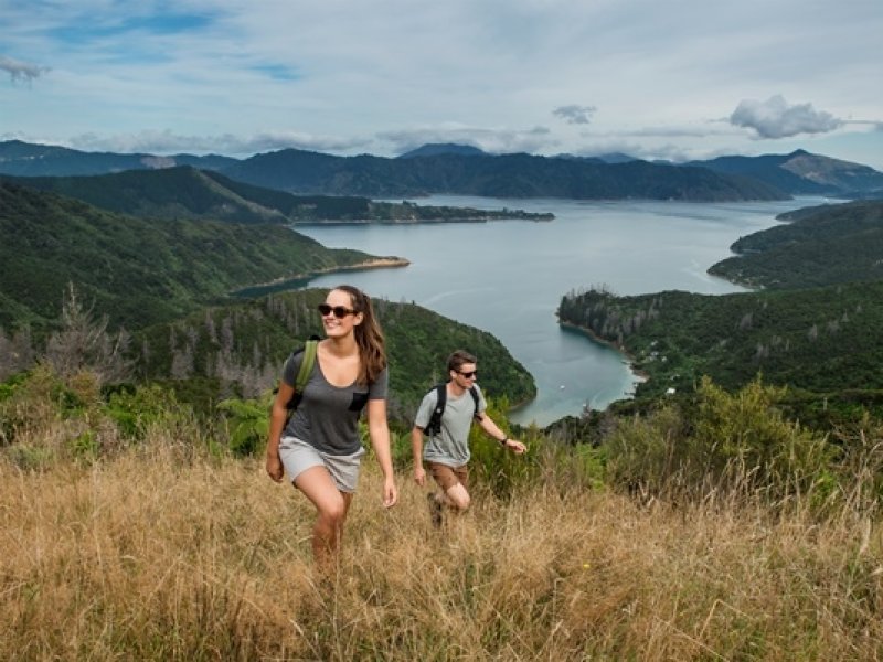 Trekking Queen Charlotte - Crédito Mike Heydon