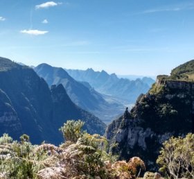 Izabela Sandy Mattos