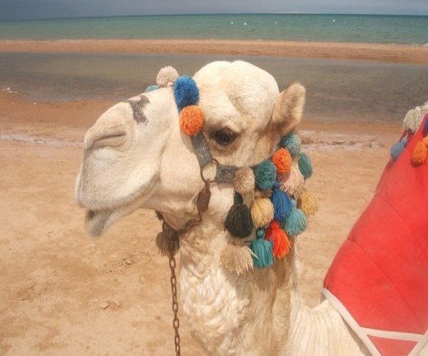 Sharm el Sheikh
