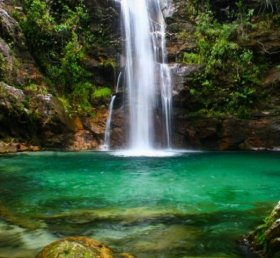 Alessandra M. Verri Medici