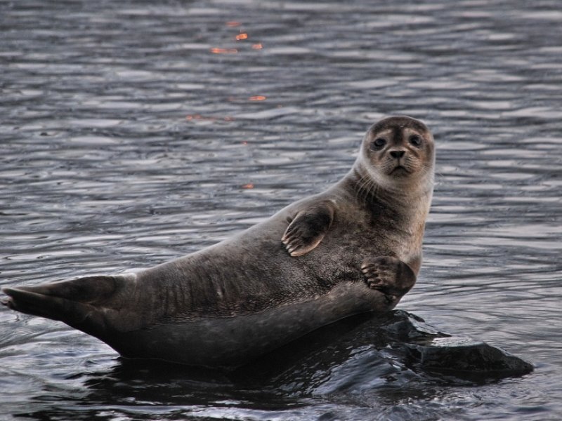 Islândia Extensões e Passeios Opcionais