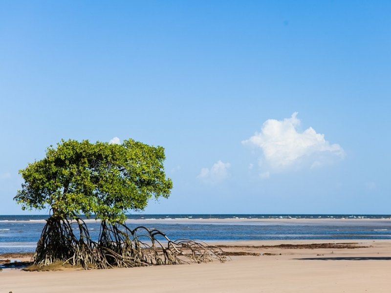 Praias