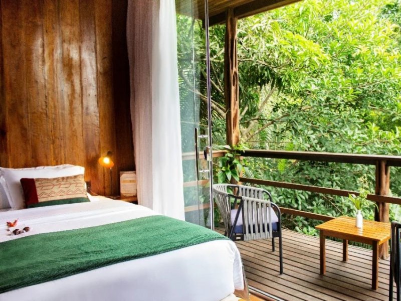 Amazônia - Mirante do Gavião Amazon Lodge