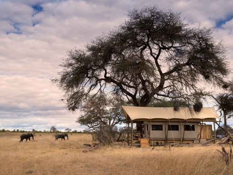 Africa African Bush Camps