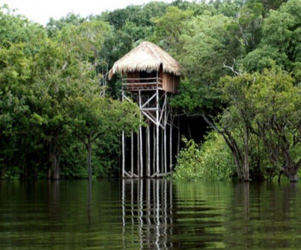 Amazônia - Juma Amazon Lodge com Pernoite na Selva