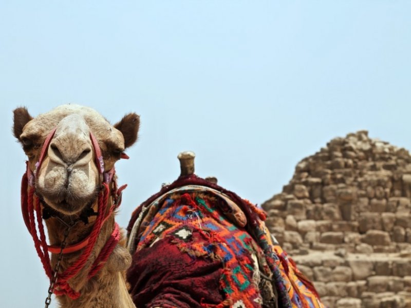 Egito - Cairo, Tesouros do Rio Nilo e Lago Nasser