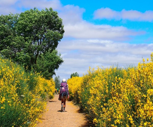 Caminho de Santiago