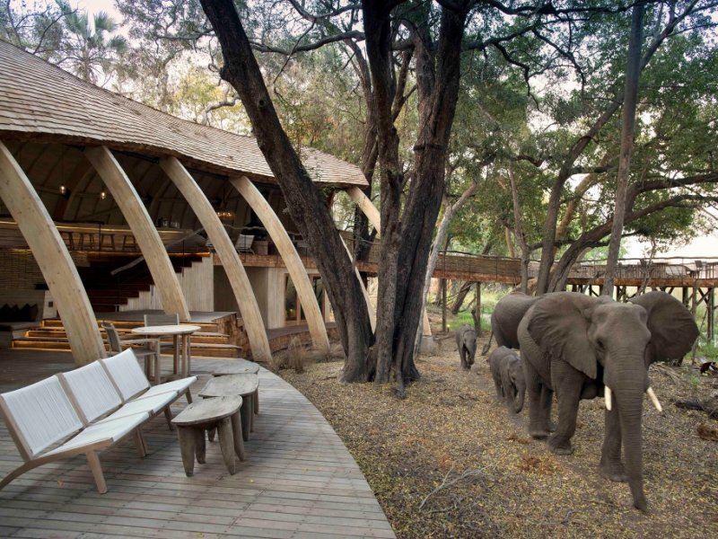 Safari na África