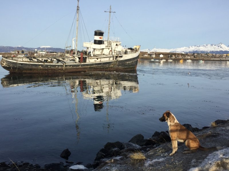 Ushuaia - Canal Beagle