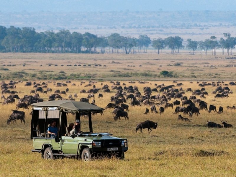 Safári no Quênia - Great Plains Conservation