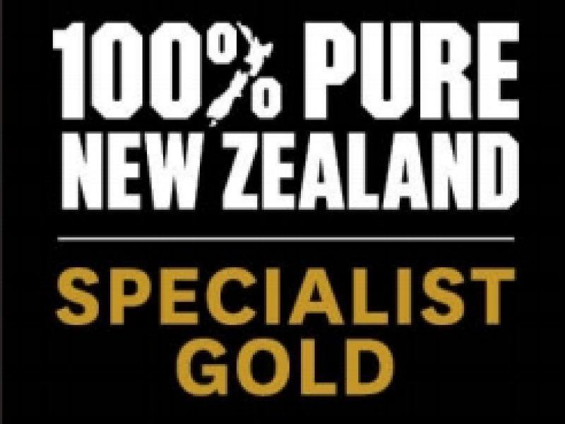 Certificado especialista