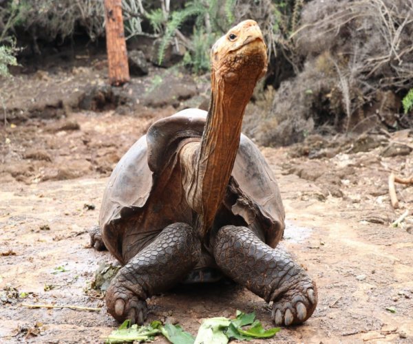 Equador - Ilhas Galápagos - San Cristobal e Santa Cruz