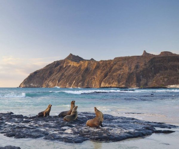 Equador - Ilhas Galápagos - San Cristobal e Santa Cruz