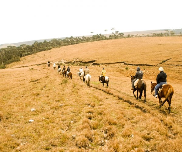 Passeio a Cavalo
