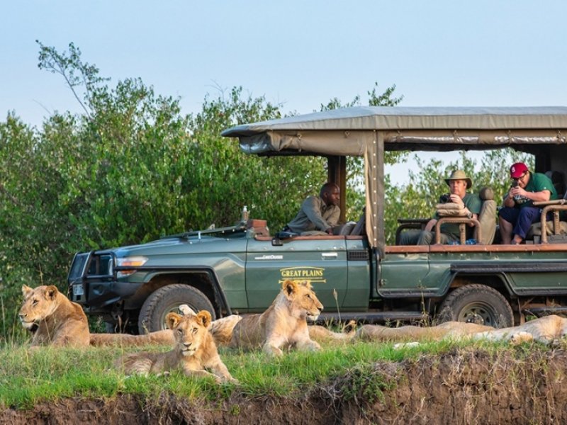 Safári no Quênia - Great Plains Conservation