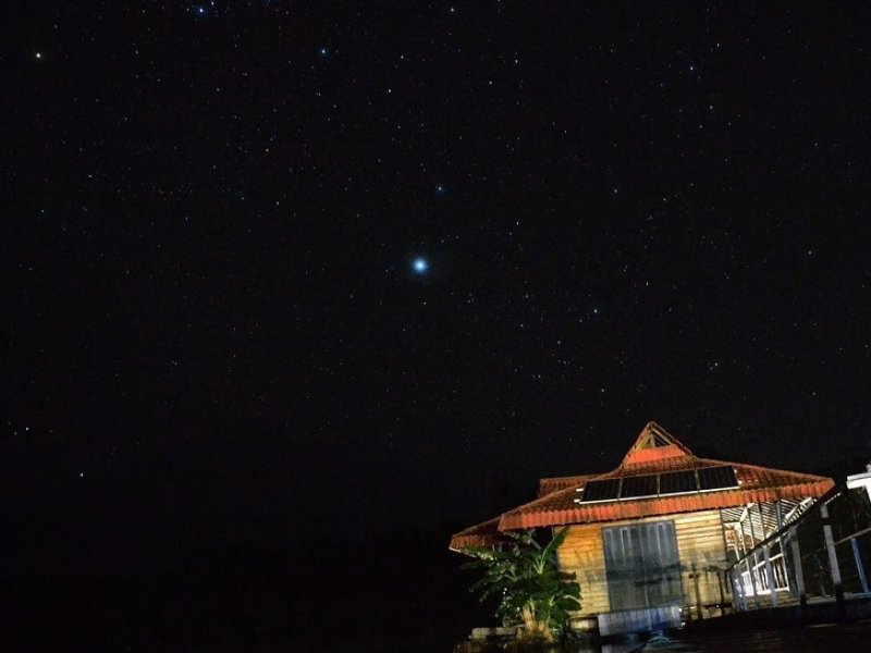 A noite na floresta