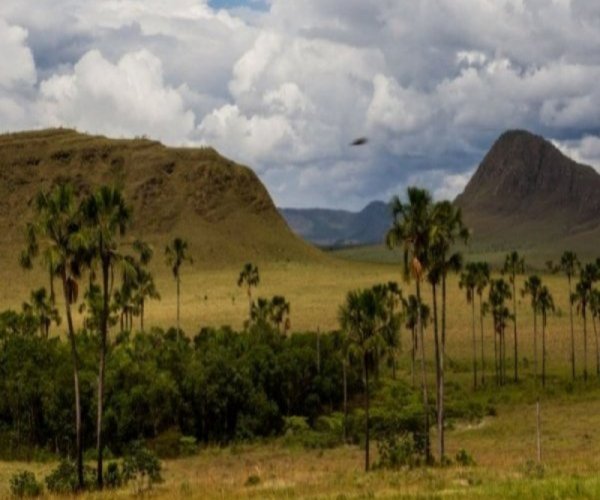 Chapada dos Veadeiros Express