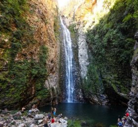 Umbertina Conti Reed