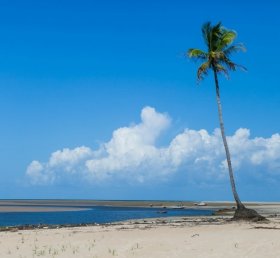 Jesus Augusto Carvalho Filho