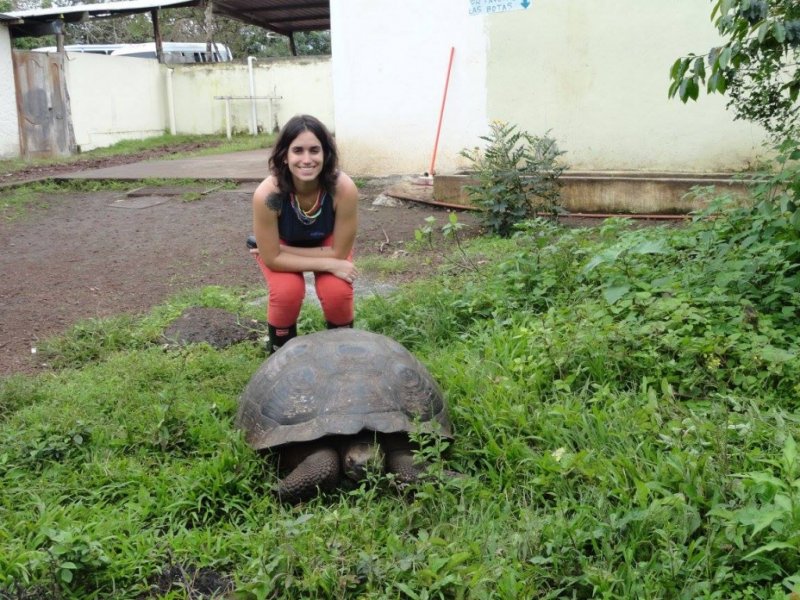 Tartarugas Gigantes de Galápagos