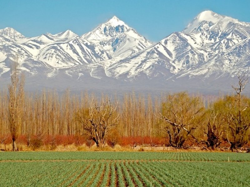Mendoza