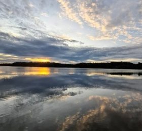 Eluise Bastos Castilho