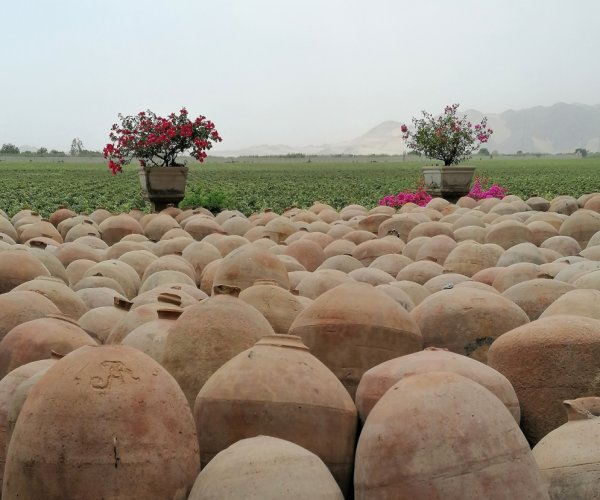 Vinícola Queirolo - Ica - Peru